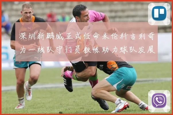 深圳新鹏城正式任命米伦科吉利奇为一线队守门员教练助力球队发展